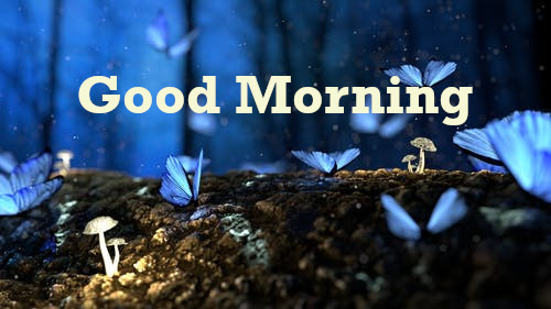 Latest Best Good Morning Wishes.