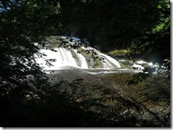 lewis river falls 55