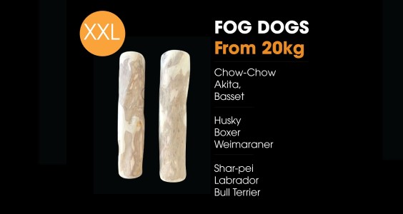 Size XS Coffee Wood Chew for Dog