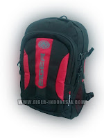 tas eiger 2447