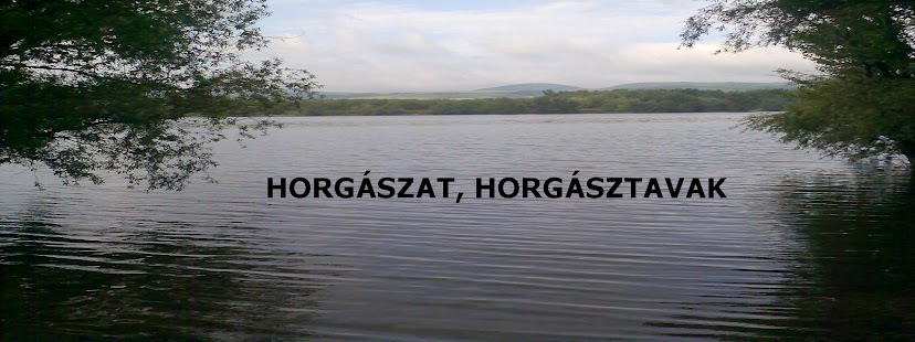 Surányi horgásztó