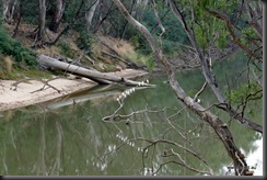 Shepperton Goulburn River