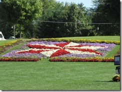 IMG_2685 IMG_2685