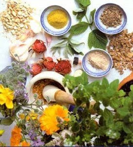 Ayurveda skin care Herbs