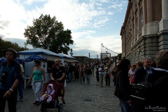 event_20110909_winefestival90backside