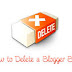 How to Delete and undelete / recover Blog ?