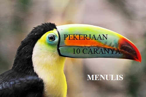 90 Gambar Foto Burung Peliharaan Tercantik dan TerKeren 