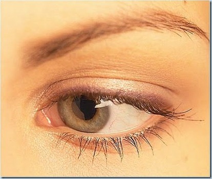 eyebrows