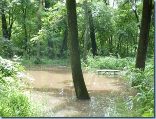 Astico Flood 10