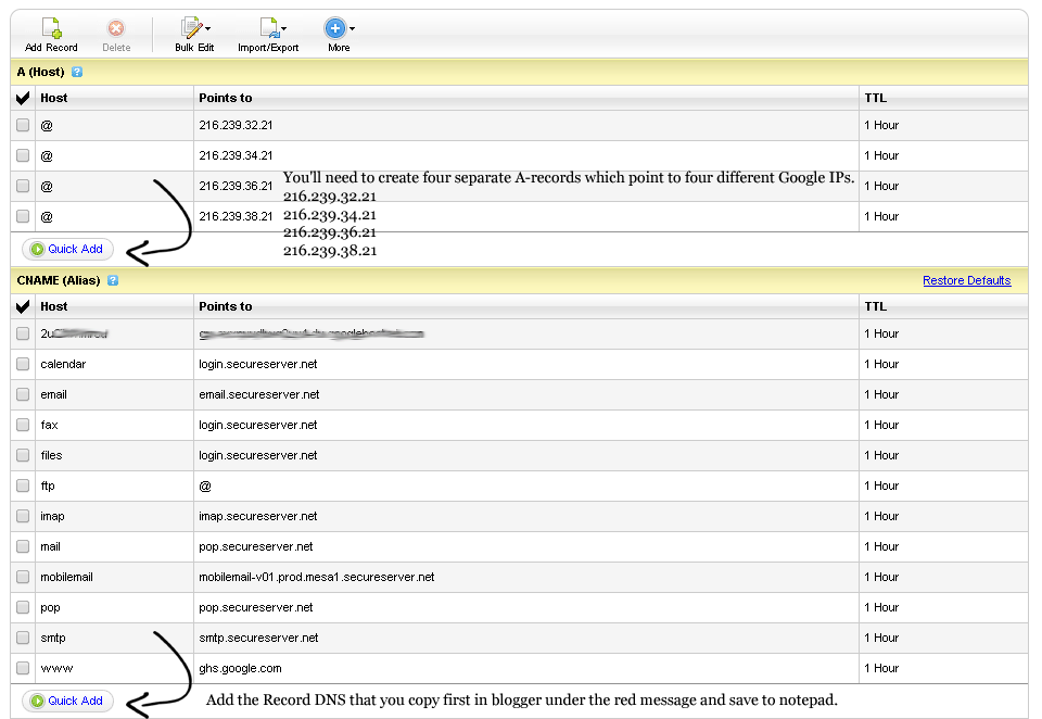 Quick Add DNS record to Godady DNS Zone File
