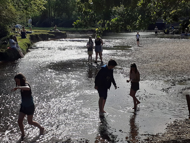 children paddling in stream near Brockenhurst