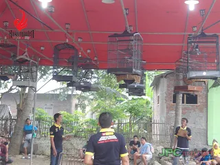 Ketujuh Jenis Burung Penghuni LATPRES Kawunganten BC, 02 Januari 2018