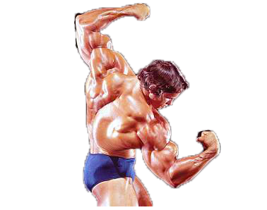 Arnold's Shoulder Poses