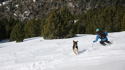 esqui de travesia y splitboard en la pinada de san juan