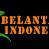 INILAH PARA SHERPA BELANTARA INDONESIA