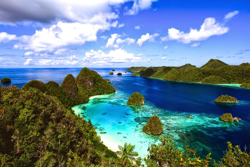 inilah 5 Wisata Bawah Laut Indonesia Terpopuler yang harus Anda kunjungi. Raja AMmpat papua