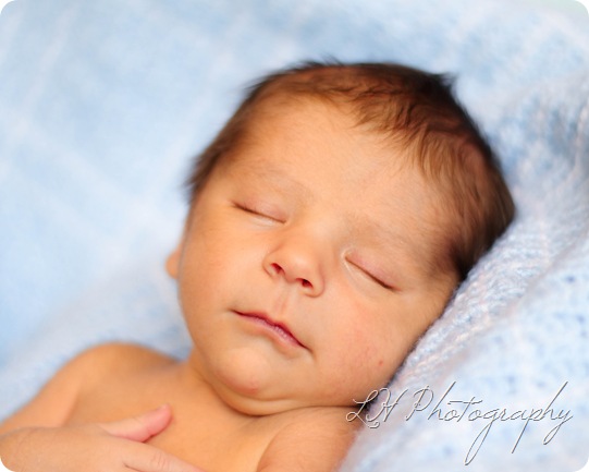 IMG_5209ed8x10