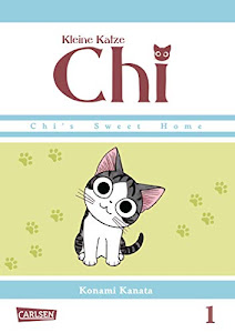 Kleine Katze Chi 1 (1)