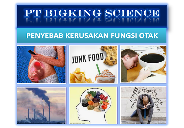 brainking plus >> 08123 01 8900