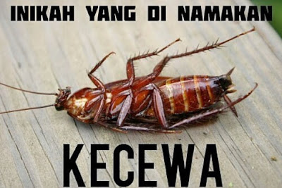 15 Meme 'Gak Jelas' Ini Walau Garing Tapi Tetap Bikin Ngakak Parah