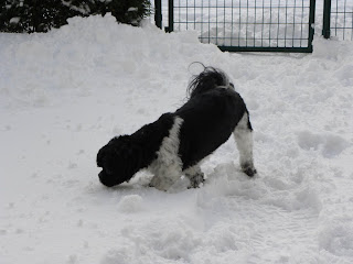 snow Zoetermeer