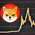 Shiba Inu Surges 3% in 24 Hours: Can the US Debt Ceiling Deal Drive #SHIB to $1?
