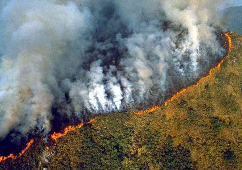 The Amazon Rain Forest Is Officially The Worst Disaster In History