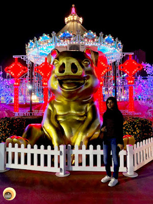 With pig sculpture at AIA THE GREAT EUROPEAN CARNIVAL, 2019, HONG KONG, NBAM PHOTOGRAPHY