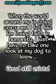  Beautiful Dog Quotes and Sayings