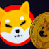 SHIBA INU sold 50% in last 40 days