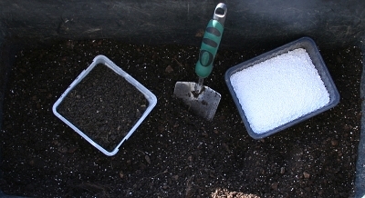 Blackberry soil preparation for containers