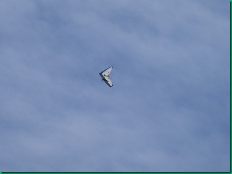 P1180015