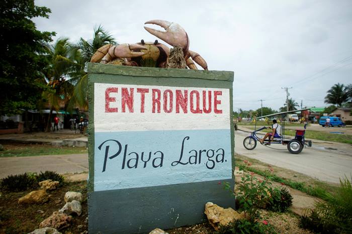Crab migration in Cuba