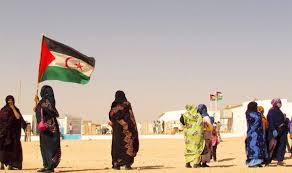 الحرب بين المغرب و الصحراء الغربية و الجزائر