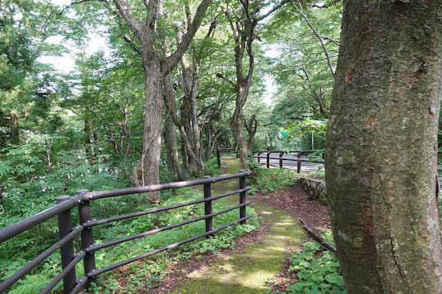 大山寺周辺の大山環状道路