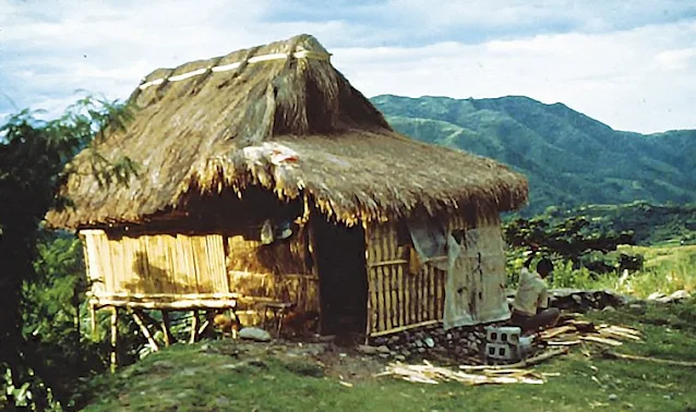 Typical Kankanaey dwelling made of bamboo and nipa