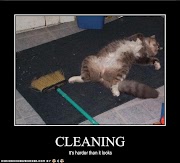 Important Inspiration 26+ Funny Pictures About Cleaning