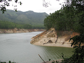 Mattupetty Munnar