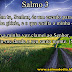 Salmo 3