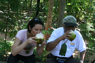 Drinking from green coconuts