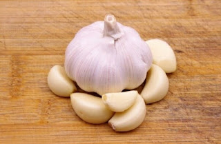 What the Best Take Care Of Garlic Pros Do (and You Should Too)