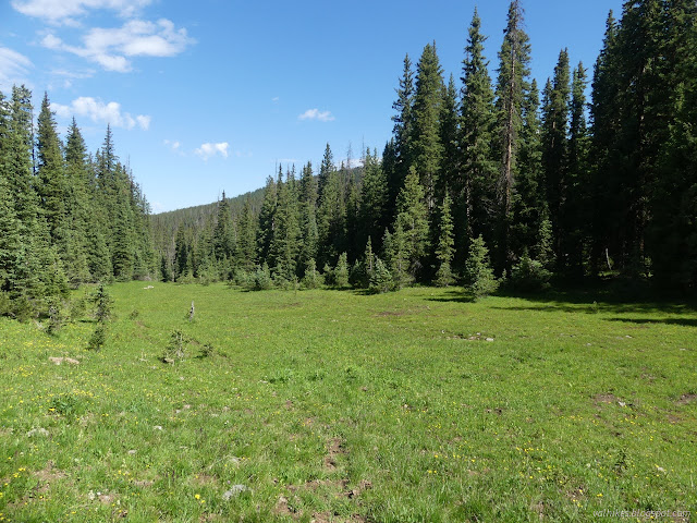 168: visible trail in the meadow