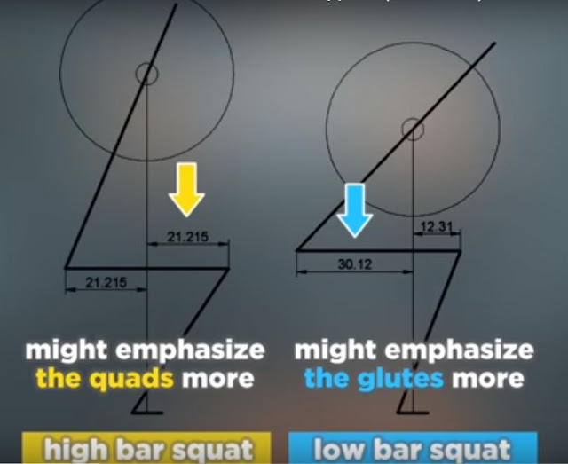 Best Science-based PUSH-PULL-LEG Workout Program