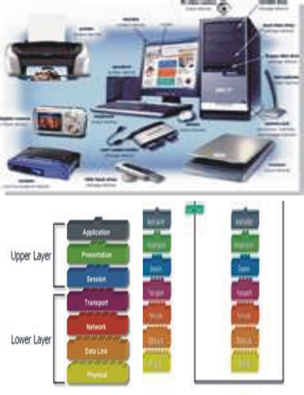 Contoh Database, C++, visual basic, java: Types of Data 