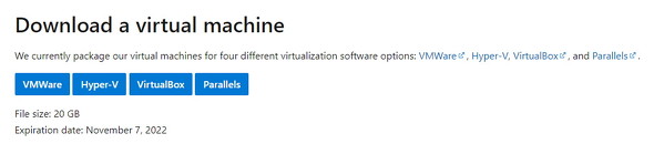 Windows 11 virtual machine image