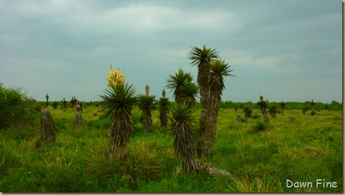 Laguna Altacosa_034