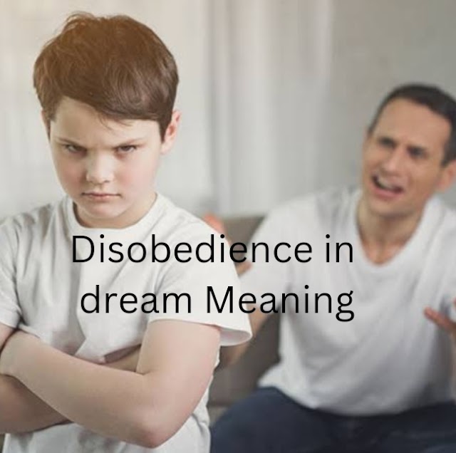 Disobedience in dream Meaning