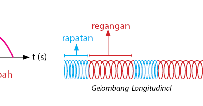 Contoh Gelombang Transversal dan Longitudinal Beserta 