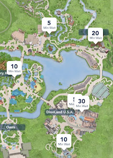 Disney's Animal Kingdom NYE 2019 Wait Times Night