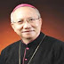 Vatican-Việt Nam: Phỏng vấn Chủ tịch Ủy ban Công lý và Hoà bìn